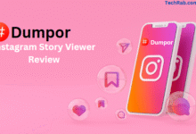 Dumpor: The Ultimate Tool for Instagram Story Viewing