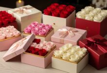 Rosboxar: The Future of Innovative Solutions