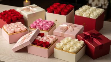 Rosboxar: The Future of Innovative Solutions